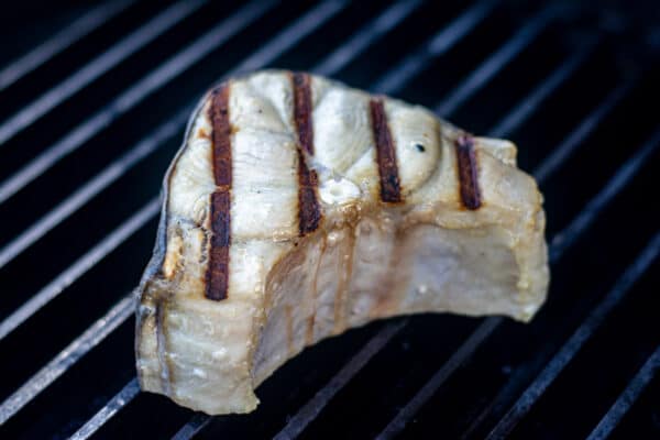 grilled shark steak 1
